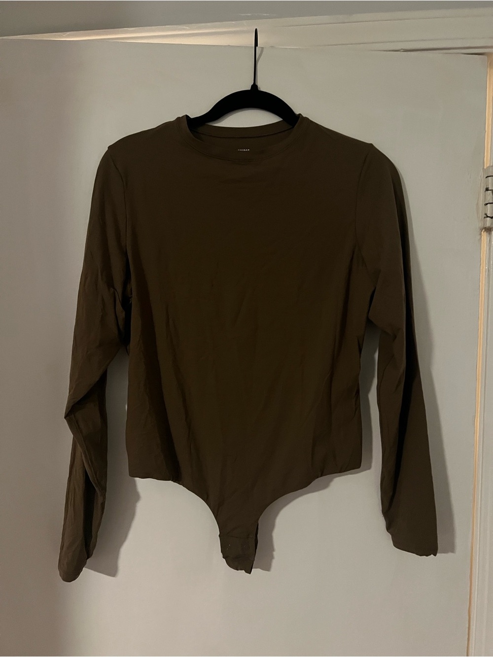SKIMS Brown Long-Sleeve Crew Bodysuit
